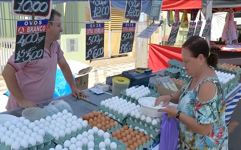 Consumo de ovos deve chegar a 230 per capita, divulga o Jornal Nacional