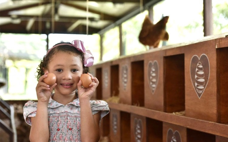 Mantiqueira lança galinheiro aberto à visitação em supermercado no Rio