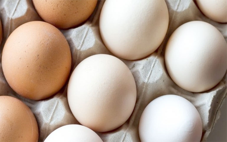 Quarentena e quaresma ampliam demanda por ovos; custos de produção aumentam