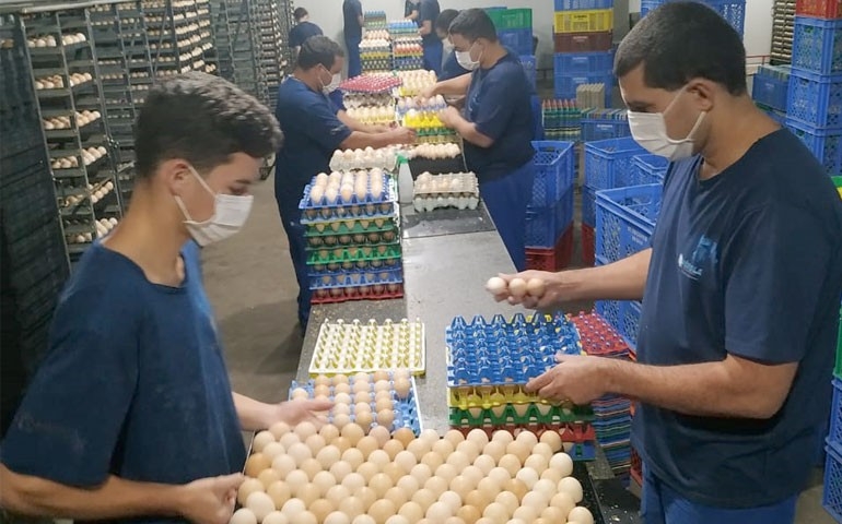 AVES coordena e orienta ações de prevenção e segurança nas granjas capixabas