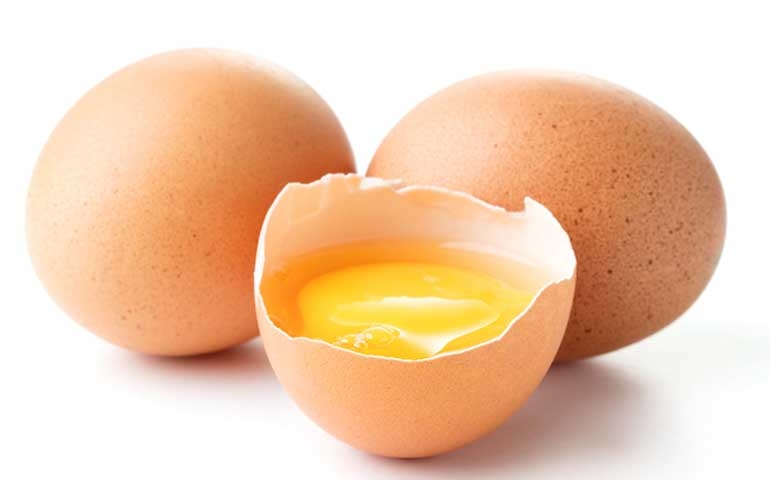 Uniquímica reforça seu know-how em ovos com Ômega 3 com o DHA Prime