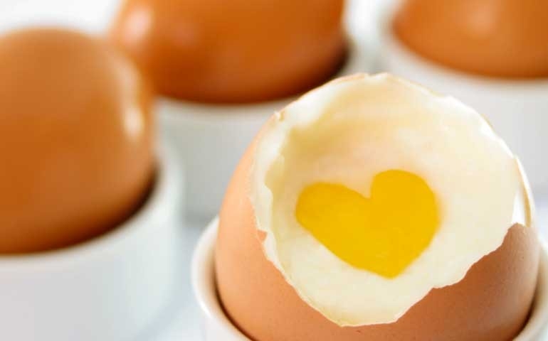 Katayama Alimentos apresenta nova linha de ovos enriquecidos