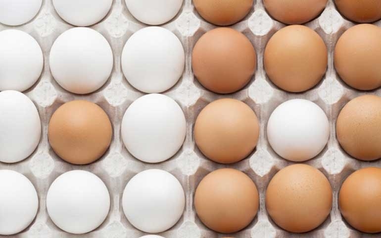 Com alta demanda e produção menor, preço do ovo continua em alta