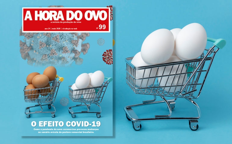 A Hora do Ovo lança edição web sobre o impacto da Covid-19 na postura brasileira