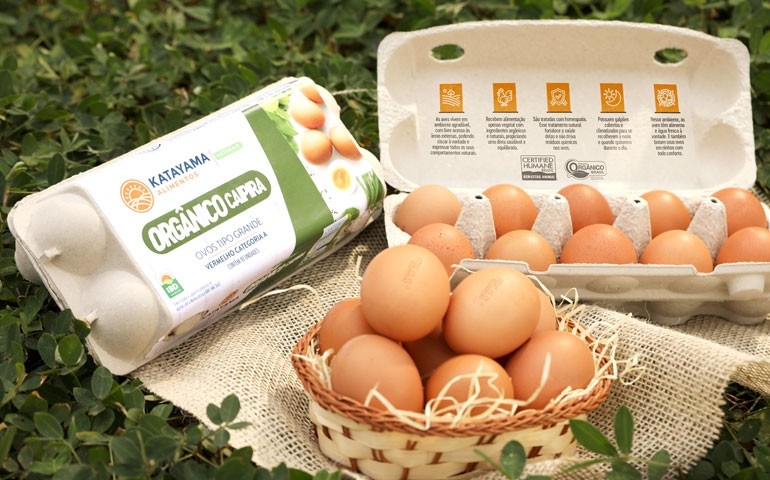 Katayama Alimentos estreia no mercado de ovos orgânicos caipiras
