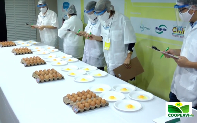 Avicultura capixaba comemora Dia do Ovo 2020 com dois concursos de qualidade de ovos