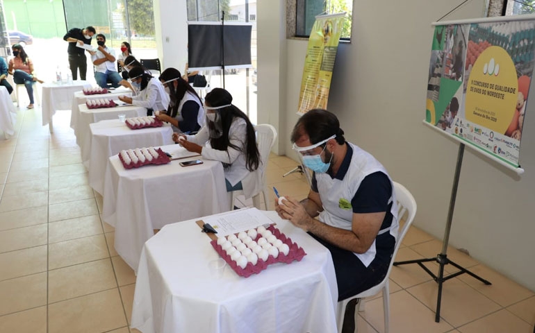 Cinco juízes avaliam os ovos no 2º. Concurso de Qualidade do Nordeste