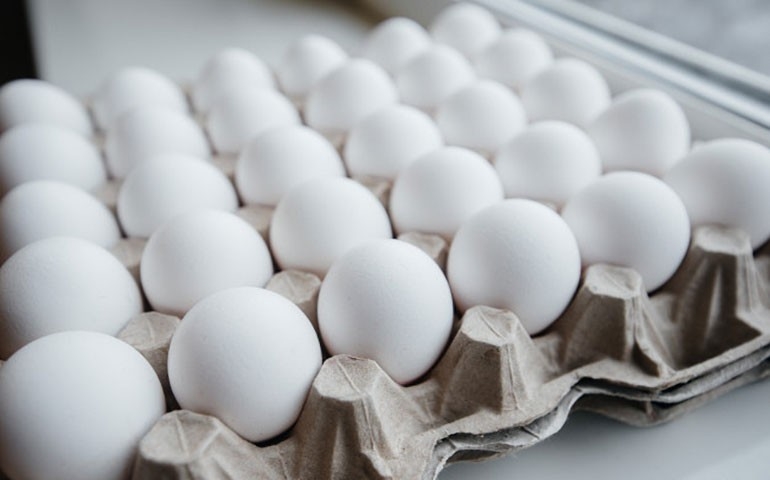 Recorde, consumo de ovos deve chegar a 250 unidades per capita em 2020
