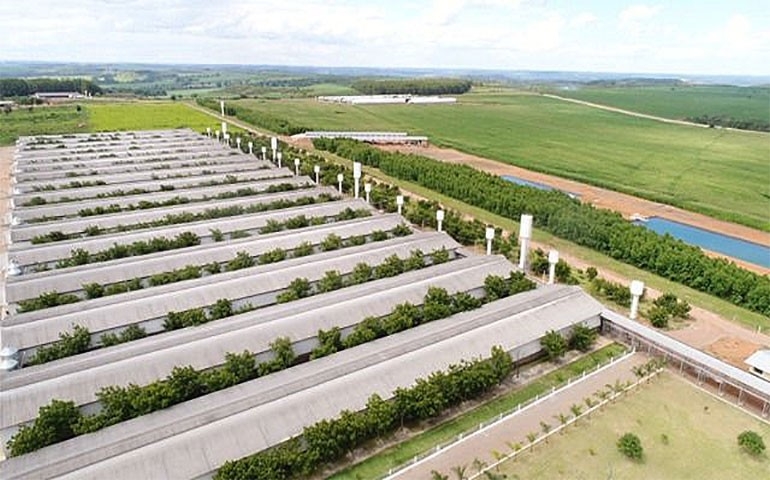 Grupo Josidith lança campanha sobre tradição e qualidade de seus ovos