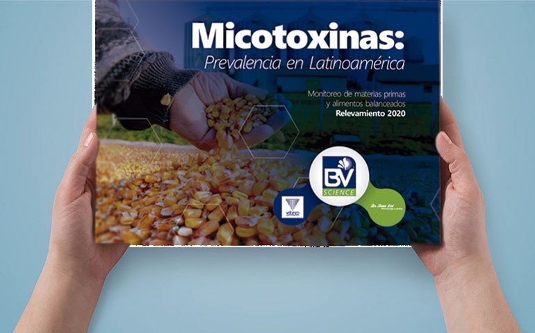 Vetanco lança e-book sobre micotoxinas na América Latina em 2020