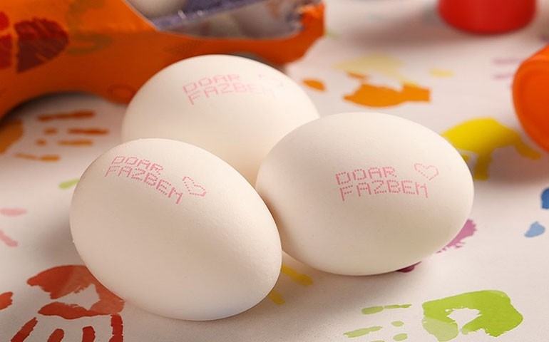Linha solidária de ovos da Katayama Alimentos apoia GRAACC
