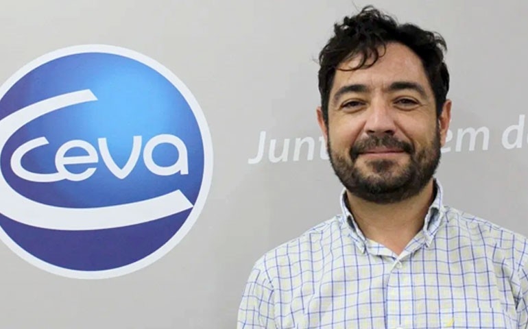 Ceva reúne especialistas  para debater a laringotraqueíte infecciosa