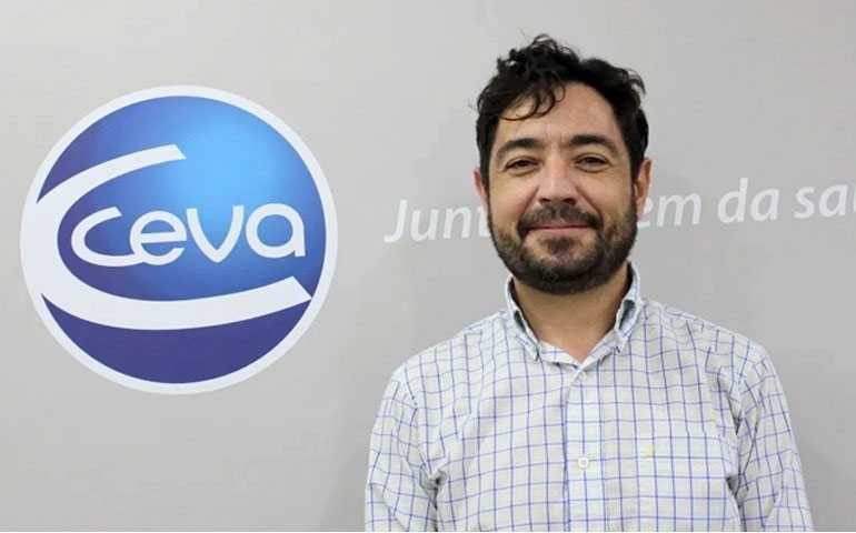 Ceva traz para o mercado a primeira vacina contra a Doença de Gumboro para poedeiras
