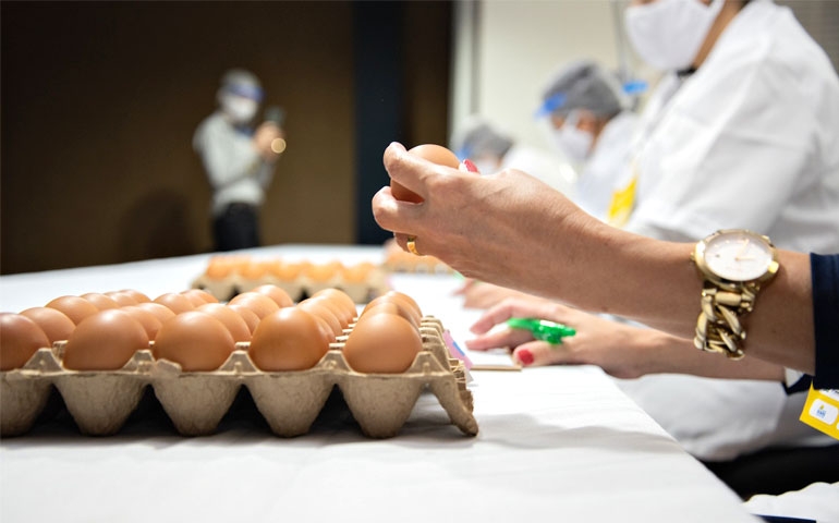 Concurso de Qualidade de Ovos Capixaba será neste dia 8 de outubro, Dia Mundial do Ovo