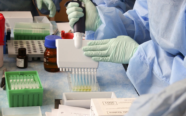 Perfil sorológico de imunidade auxilia suinocultores na gestão sanitária