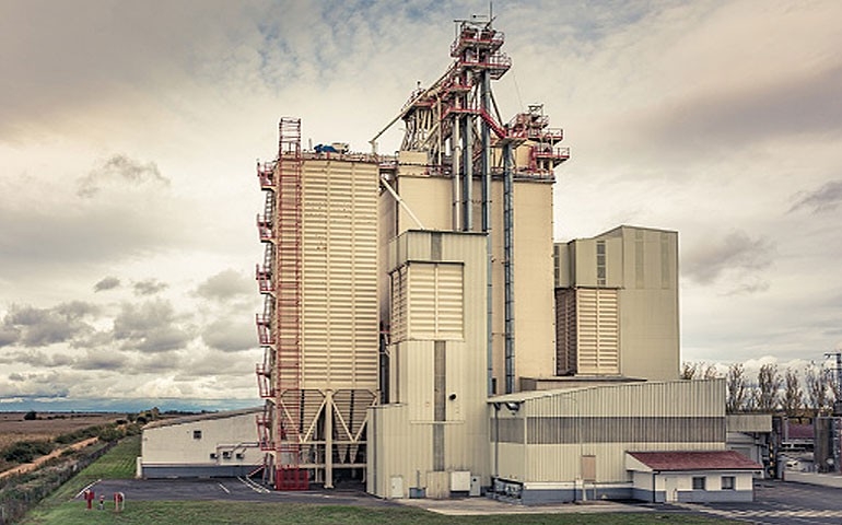 Produção mundial de ração cresceu 2,3%, aponta pesquisa da Alltech