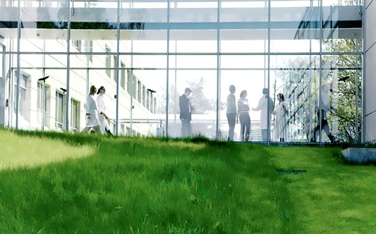 Chr. Hansen é eleita a empresa mais sustentável do mundo em saúde e nutrição animal