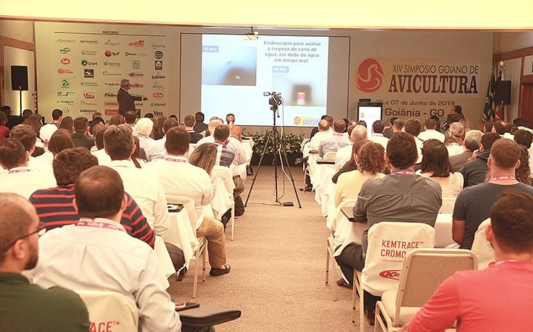 Simpósio Goiano de Avicultura reúne o setor a partir de hoje, dia 9, em Goiânia