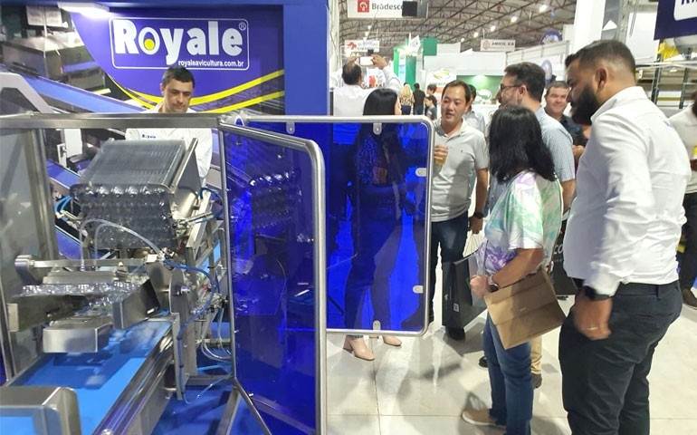 Esteiras inteligentes e modulares da Royale fazem sucesso na Festa do Ovo