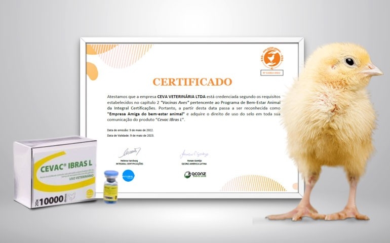 Selo de bem-estar animal confirma eficiência da Cevac IBras L da Ceva
