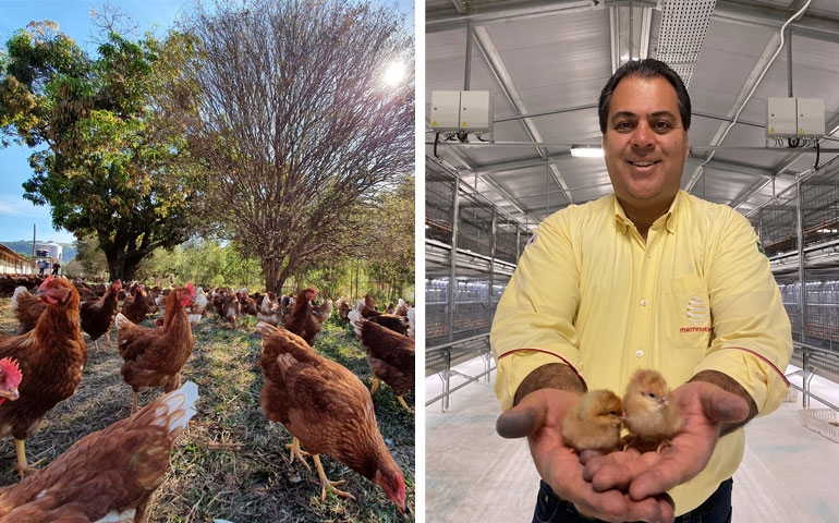 Mantiqueira adquire 100% das cotas da Fazenda da Toca Orgânicos