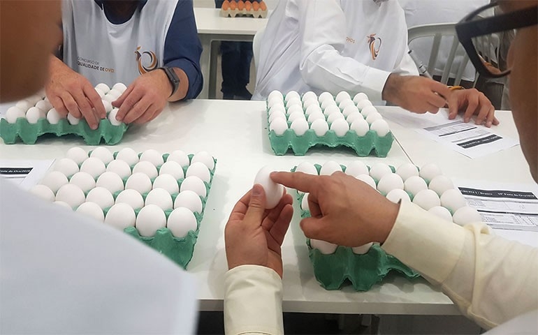Concurso de Qualidade de Ovos de Bastos está de volta em 2023