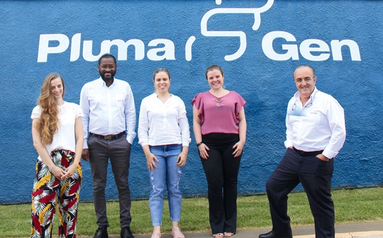 Pluma Genetics chega à postura brasileira com know-how, tradição e excelência