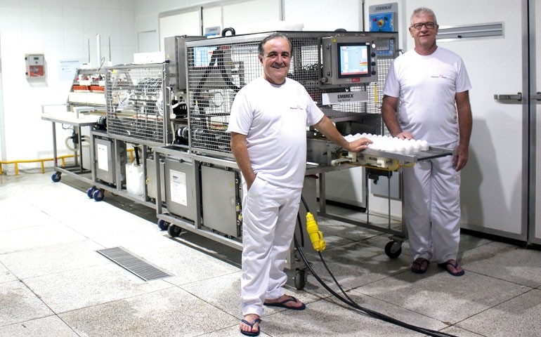 PlumaGen passa a entregar, a partir de agora, suas pintainhas de 1 dia vacinadas in ovo contra Marek