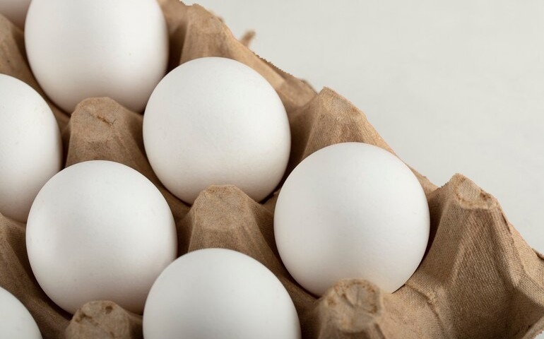 Exportações de ovos crescem 217,8% em setembro, informa ABPA