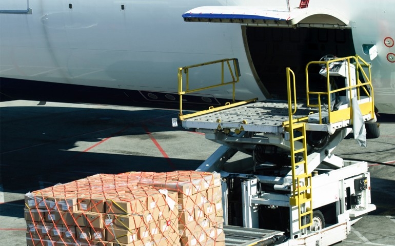 Embarques de genética avícola crescem 75,5% em 2023