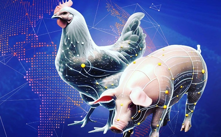 5º Simpósio Tabelas Brasileiras para Aves e Suínos será no dia 26 de março