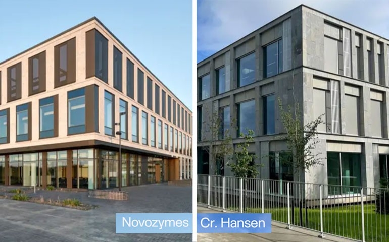 Fusão entre Novozymes e Chr. Hansen dá origem à Novonesis