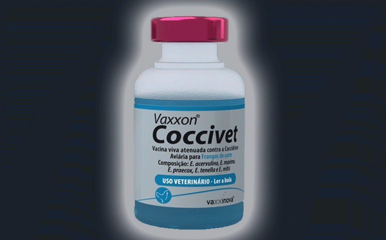 Vaxxinova destaca Vaxxon Coccivet para frangos de corte no SBSA 2024
