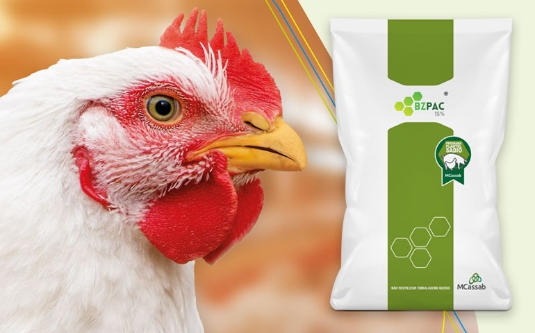 BZPAC 15%, da MCassab, amplia registro para uso terapêutico em aves e suínos