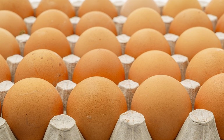O mercado está bom para o ovo? Murilo Pinto, da Mantiqueira Brasil, avalia