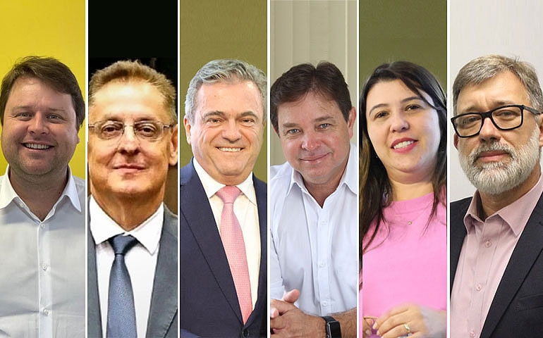 Instituto Ovos Brasil elege nova diretoria para o próximo triênio