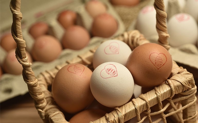 Mantiqueira Brasil destaca o ovo como "superalimento" e mostra estudo inovador sobre o alimento