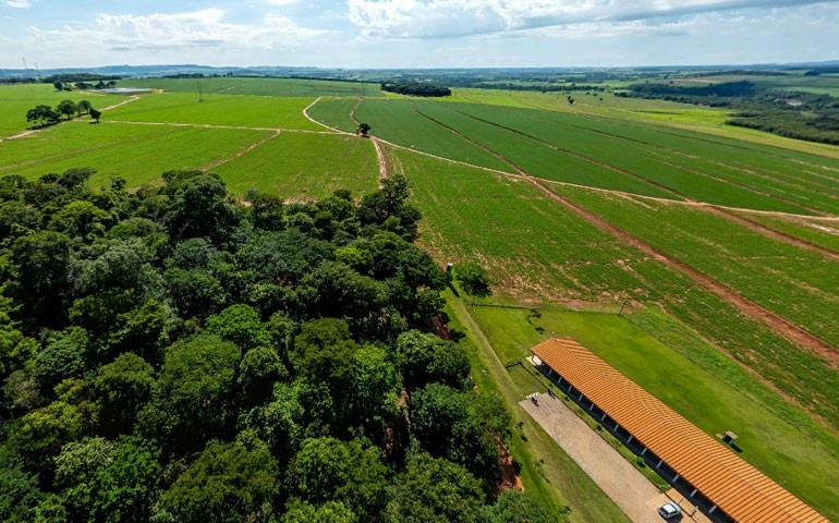 Evento em Santa Rita do Passa Quatro destaca práticas sustentáveis na integração lavoura-pecuária