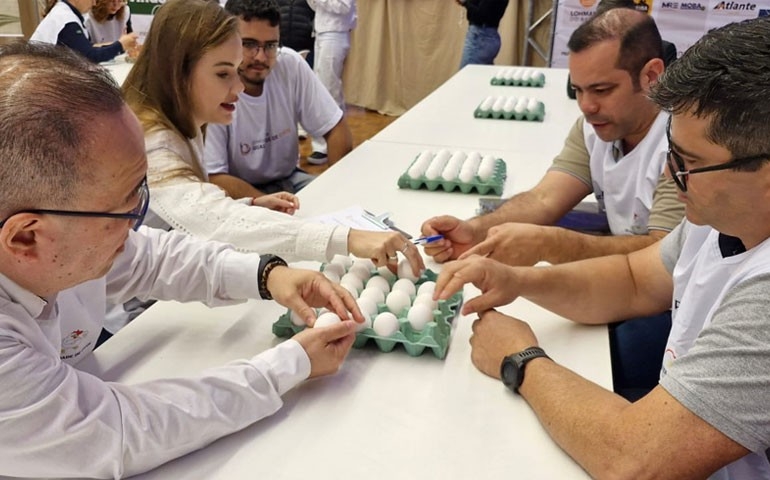 Concurso Estadual de Ovos realizado em Bastos abre inscrições e terá selos de qualidade ouro, prata e bronze