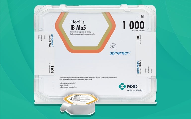 MSD Saúde Animal incentiva o avanço da avicultura brasileira com tecnologia sustentável de vacinação