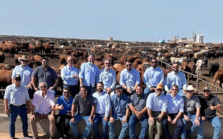 Trouw Nutrition fortalece especialização técnica para atender crescimento de gado confinado no Brasil