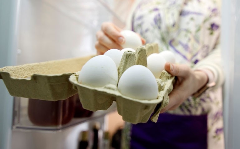 Gerente de qualidade da Mantiqueira Brasil destaca os cuidados para o consumidor escolher e manter os ovos frescos e seguros