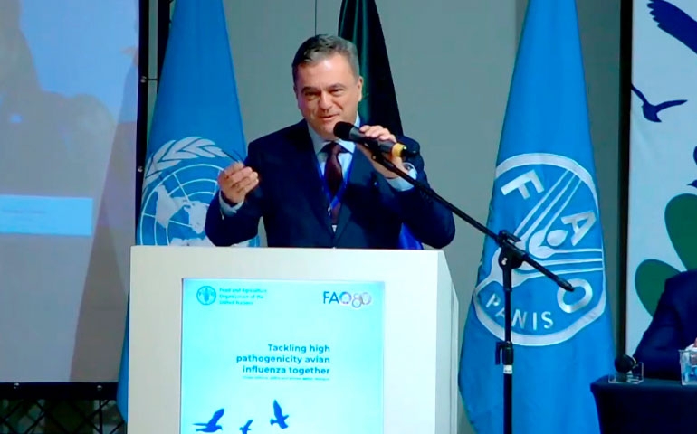 Ricardo Santin defende, na Conferência da FAO, regionalização e revisão de protocolos internacionais sobre influenza