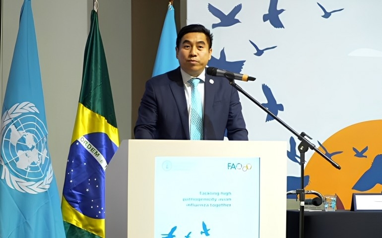 FAO credencia laboratório brasileiro como centro de referência internacional e destaca papel do Brasil no combate à influenza aviária