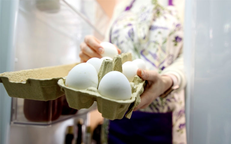 Da casca à geladeira, como reconhecer um ovo de qualidade, ensina a Mantiqueira Brasil