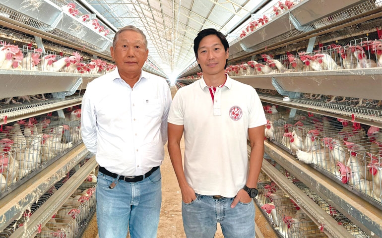 HPDDG (FS Essencial) garante eficiência e redução de custos na produção de ovos da Granja Acampamento