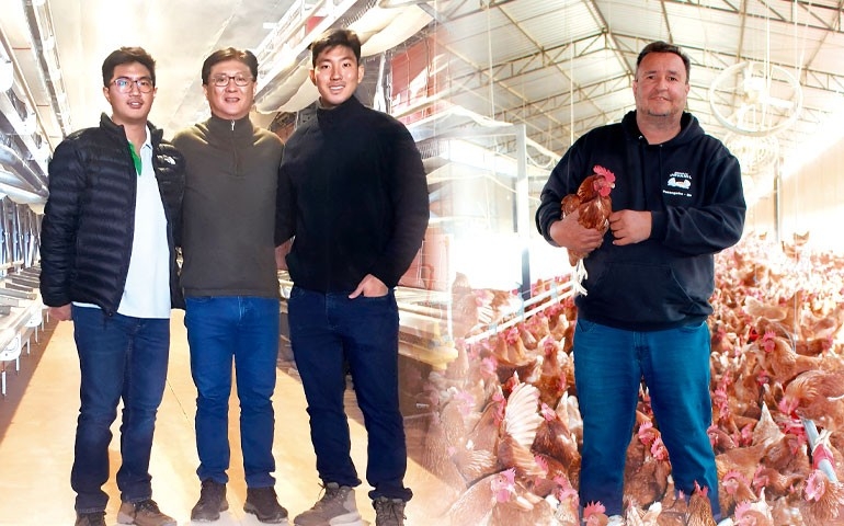 Granja Morishita e Ovos Jovanil investem em aviários cage free da Artabas