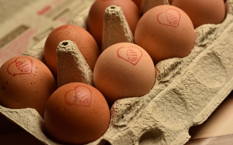 Mantiqueira Brasil intensifica ações de sustentabilidade na cadeia produtiva