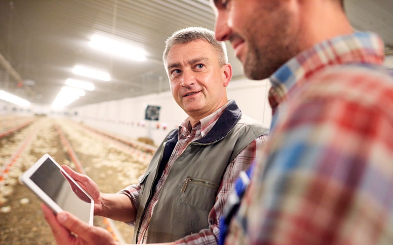 APA abre seleção para médicos veterinários no Programa Estadual de Sanidade Avícola