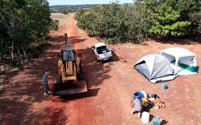 Ministério da Agricultura e Pecuária confirma caso de influenza aviária em Cuiabá (MT)